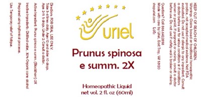 Prunus Spinosa E Summ. 2x Liquid (Prunus Spinosa E Summ. 2x Liquid)